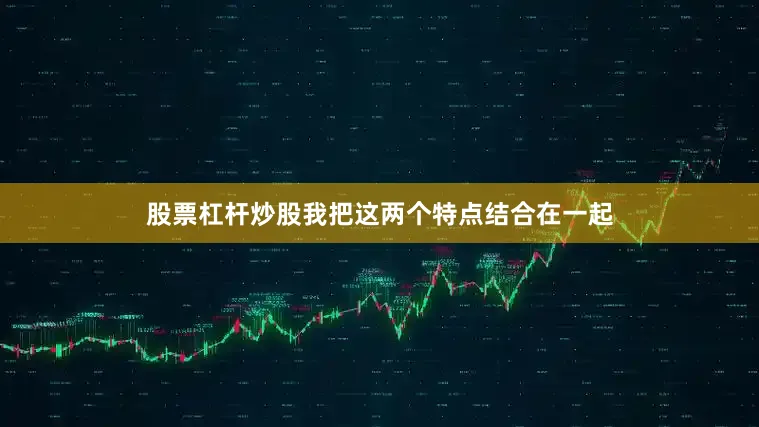 股票杠杆炒股我把这两个特点结合在一起